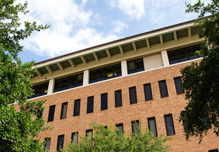 Trees in front of GSB building