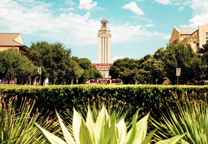 University of Texas tower with plants in the foreground