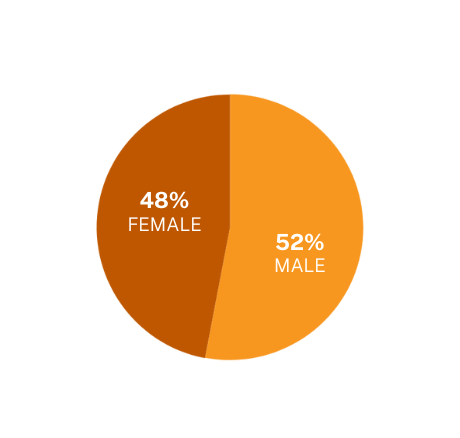 pie chart containing the BBA make up classified by gender